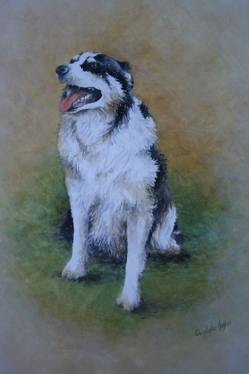 Thats My Collie by Christopher Hughes