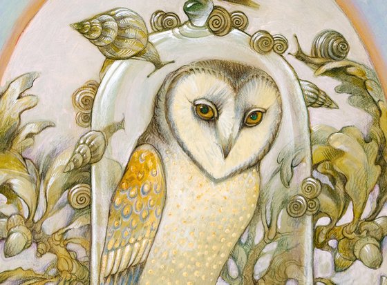 Owl. series The rare species