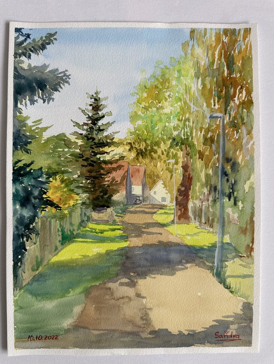 Sunny Country Street