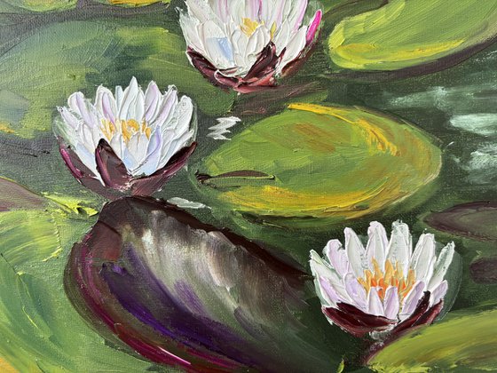 Serenity of Water Lilies