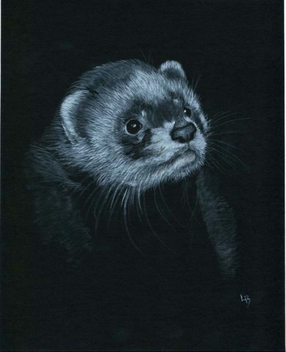 Polecat