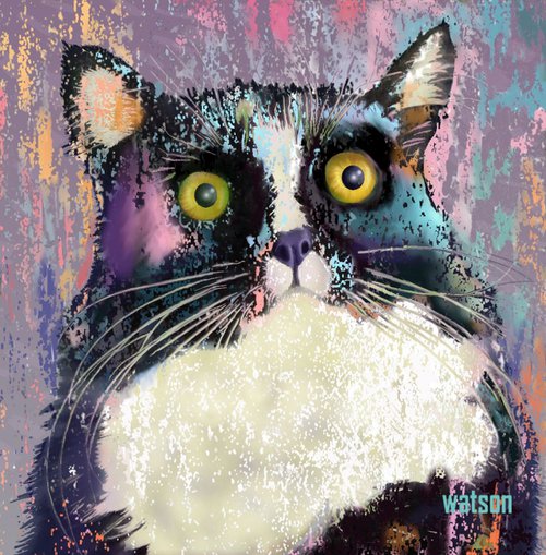 Big Eyed Tuxedo Cat by Marlene Watson