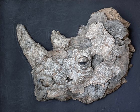 There was a rhinoceros
