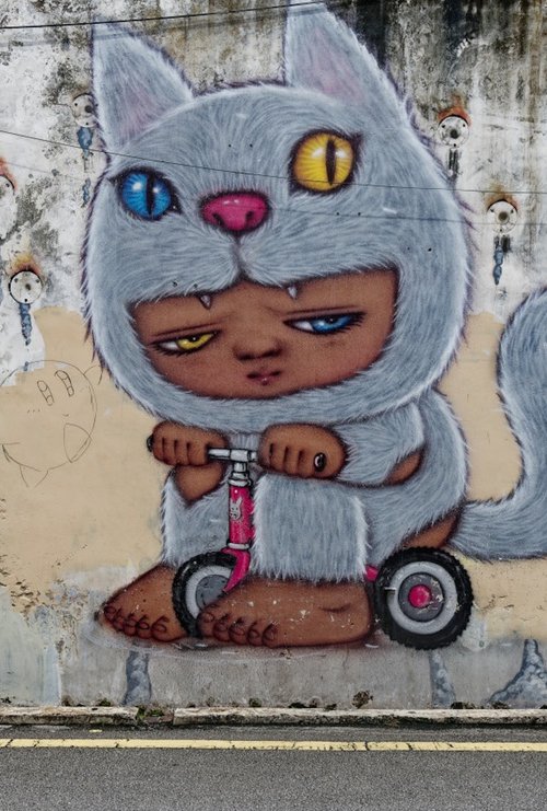 Scooter Cat by Marc Ehrenbold