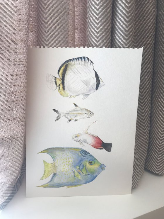 Four Fish Original Watercolor
