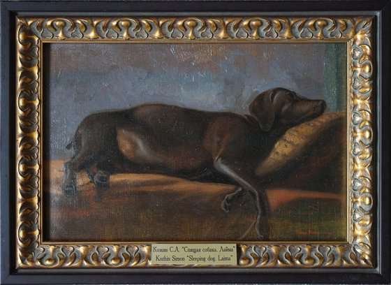 Sleeping dog. Laima
