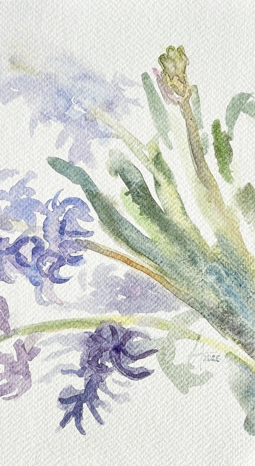 Morning Hyacinths by Elena Lykhodid