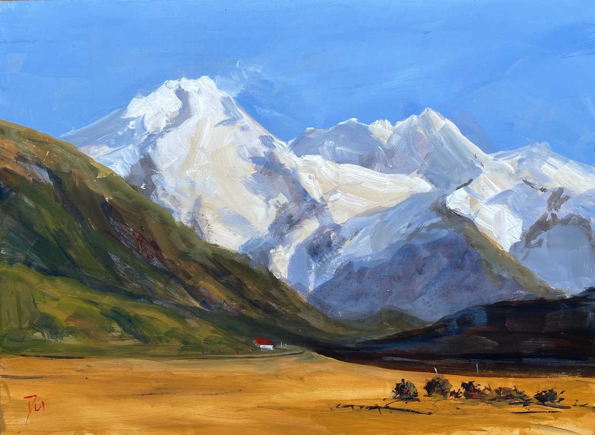 Mount cook by Shelly Du