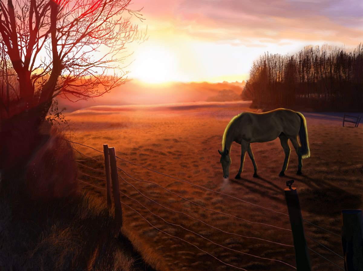Solstice Sunrise by Nigel Follett