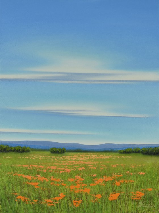 Blue Sky Poppy Field - Flower Field Landscape