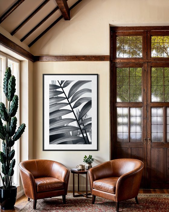 Between Fronds