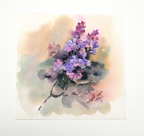 Lilac, spring blossom in watercolor