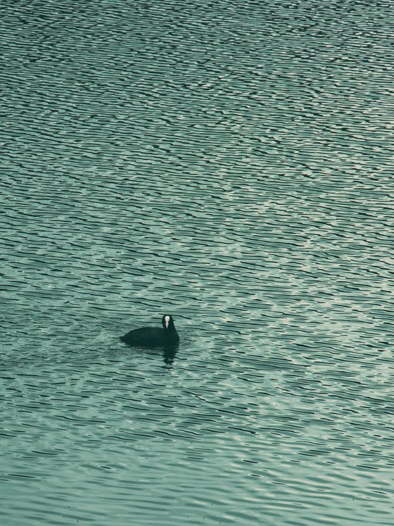 A Dark Figure in Teal