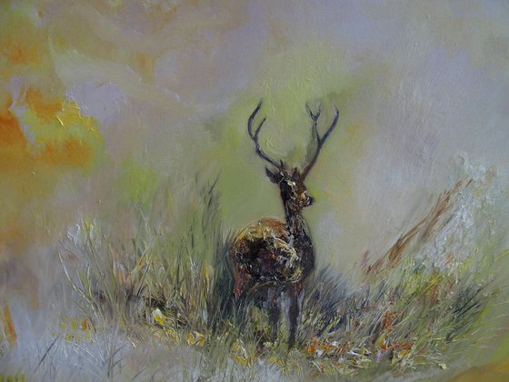 The Wild Stag
