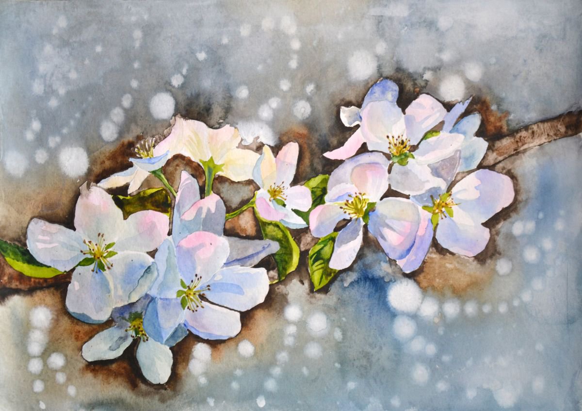 Apple Blossoms 2 by Anna Masiul-Gozdecka