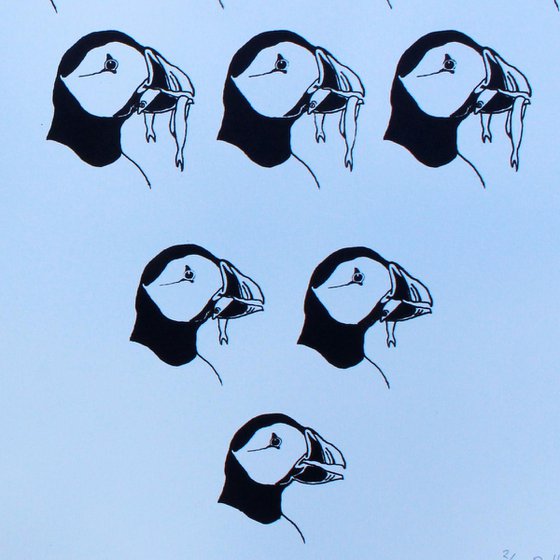 Puffins in Crisis