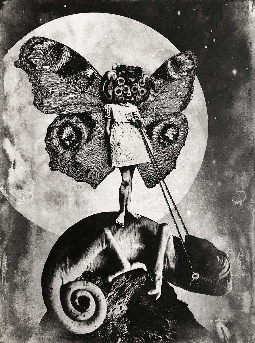 Surrealistic Animal Etchings & Engravings By Jaco Putker, 20 X 26, The Girl And The Chameleon, Original Artwork