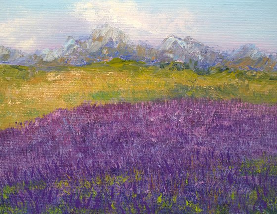 Lavender field framed