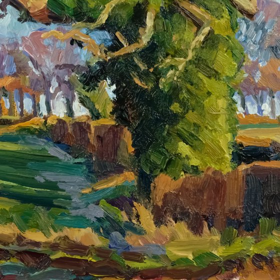 Shadow of the Oak
