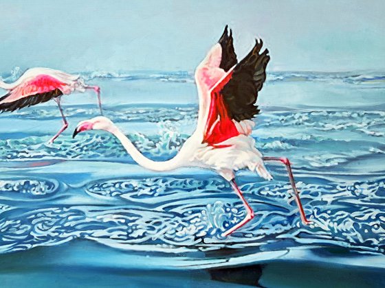 WING-SURFERS (PINK FLAMINGOES)