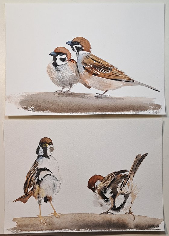 Two pairs of sparrows. Diptych