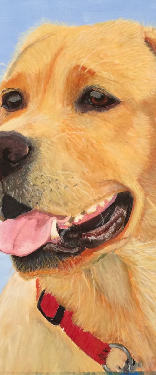 GOLDIE - LABRADOR by ELAINE ASKEW