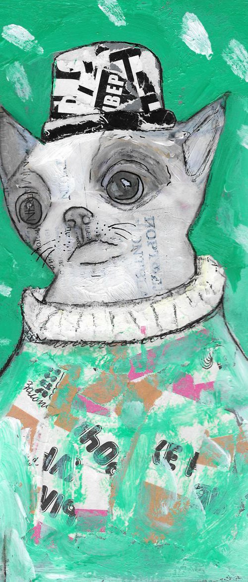 Fashion chihuahua puppy by Pavel Kuragin