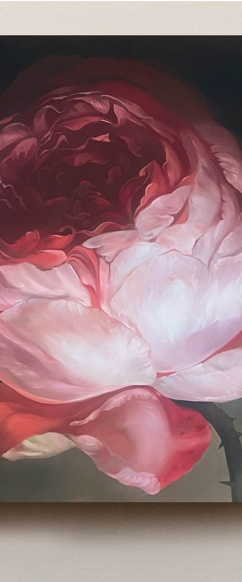 Old Holland flower 12 by Rosi Roys