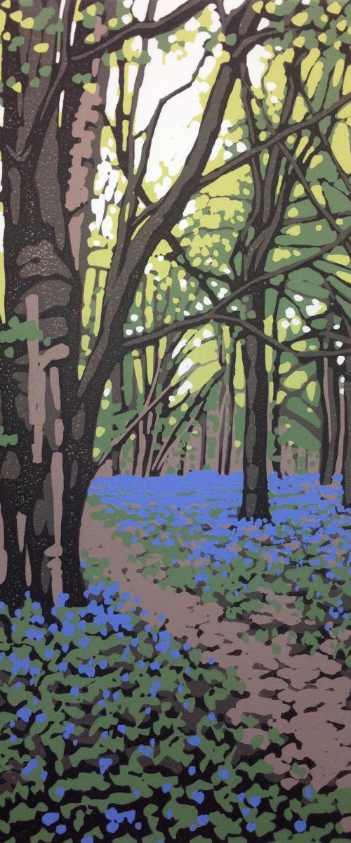 Bluebell Walk by Alexandra Buckle