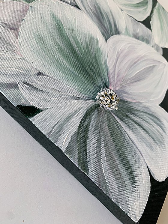 Whispers of White Petals