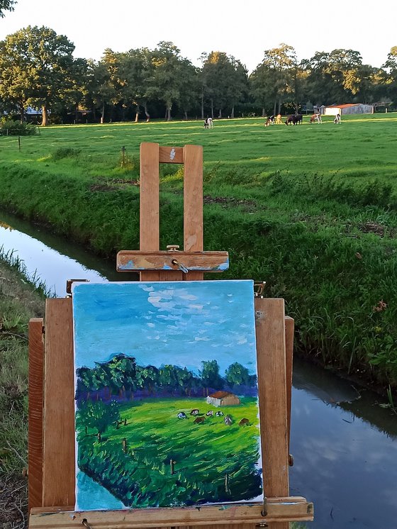 Cows at meadow in Coevorden