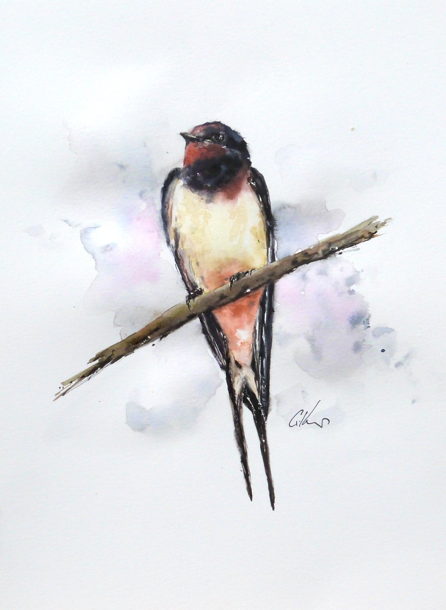 Swallow by Graham Kemp