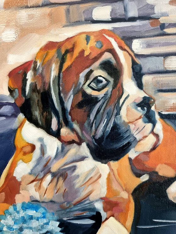 Boxer puppy - oil painting 30*40