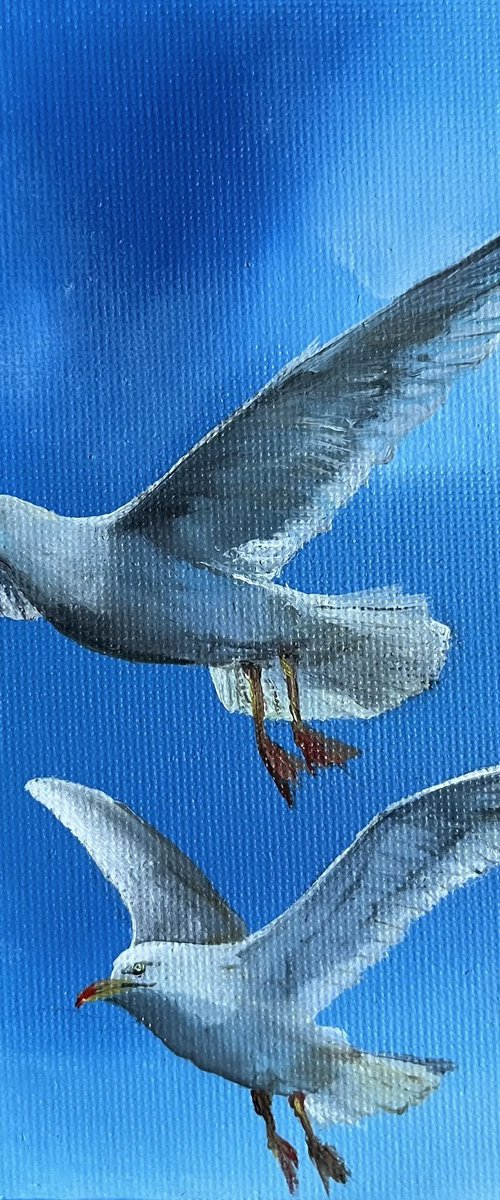 Seagulls by Myroslava Denysyuk