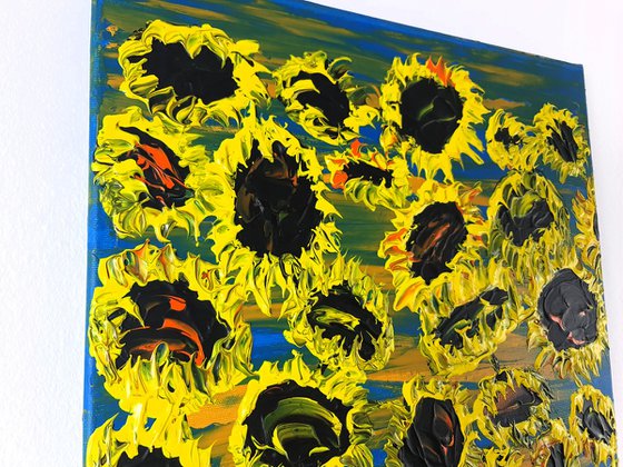 Blooming sunflowers 5