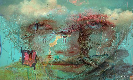 The Architecture of Mind