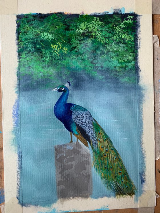 Peacock! A4 size Painting on paper