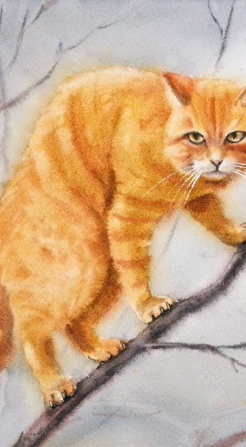 I'm a Tiger! Ok...mini tiger. by Olga Beliaeva Watercolour