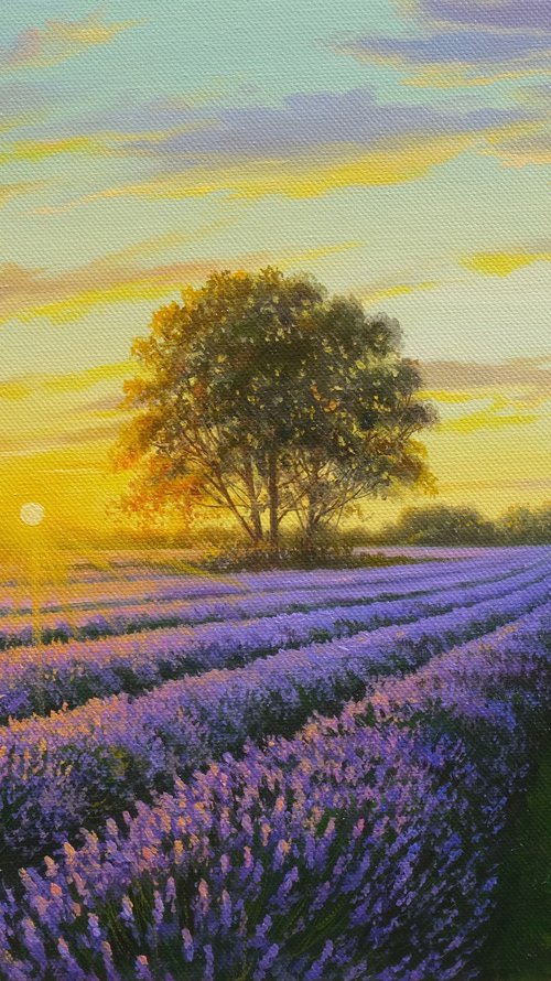 Lavender evening by Eduard Zhaldak