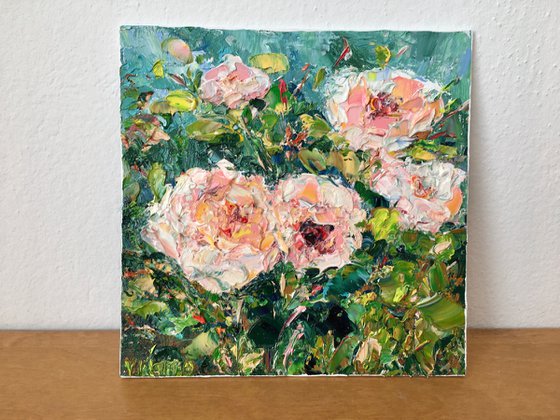 Pink roses