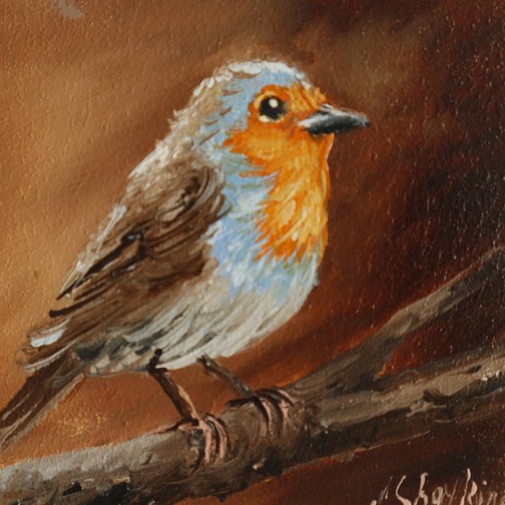 Little Robin