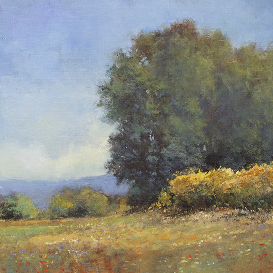 Trees And Field 201014, flower field impressionist landscape oil painting