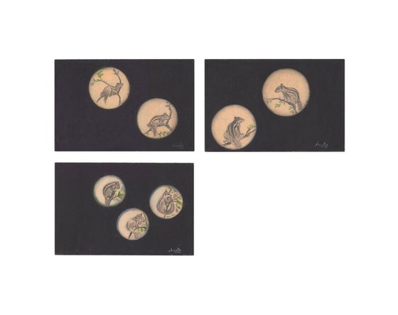Garden squirrels