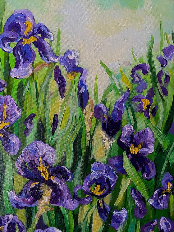 Iris Garden