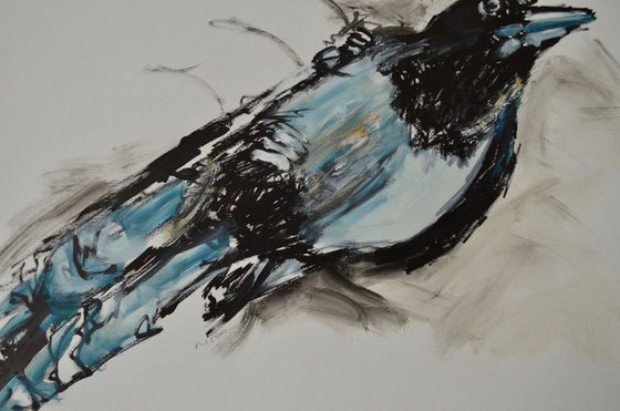 Magpie Study Two