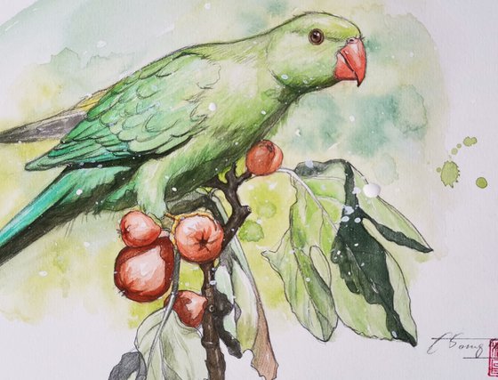 Watercolor- Parrot #20830