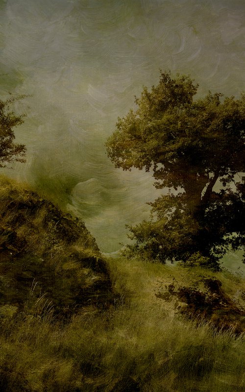 Trees and Roman wall by Martin Fry