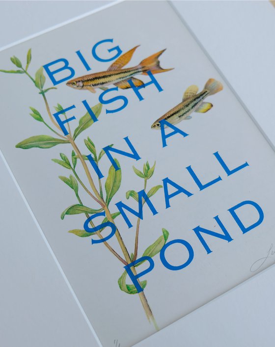 Big fish in a small pond