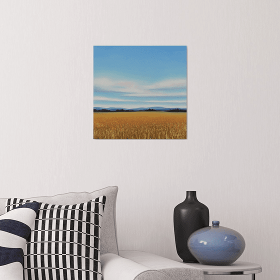 Golden Wheat - Blue Sky Landscape