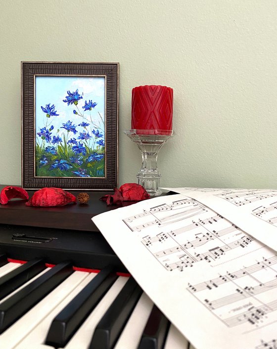 Cheerful cornflowers